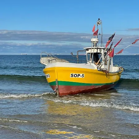 Monte Cassino Glamour By Downtown